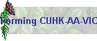 Forming CUHK-AA-VIC