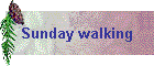 Sunday walking