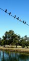 IMG-20151018-WA0020