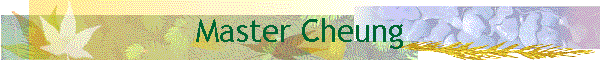 Master Cheung
