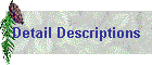 Detail Descriptions
