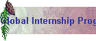 Global Internship Program