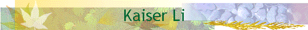 Kaiser Li